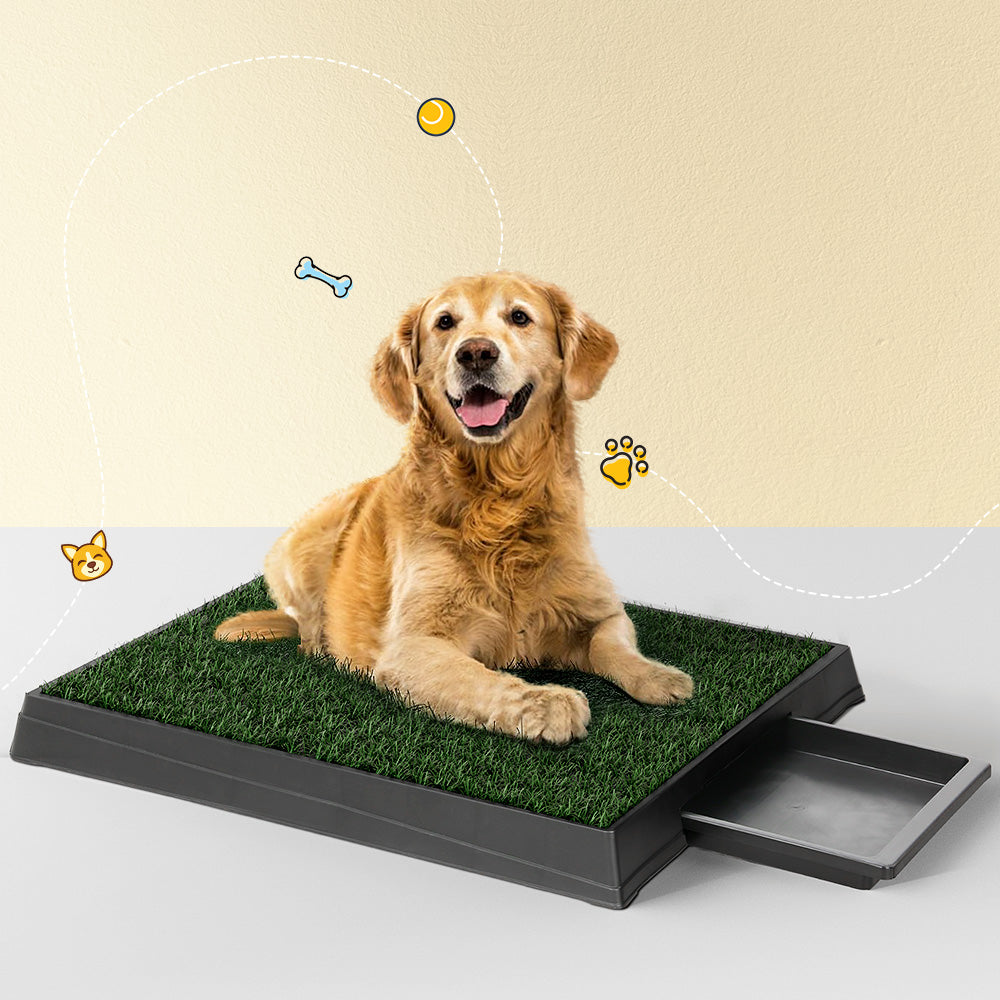 Portable Grass Dog Toilet Training Tray