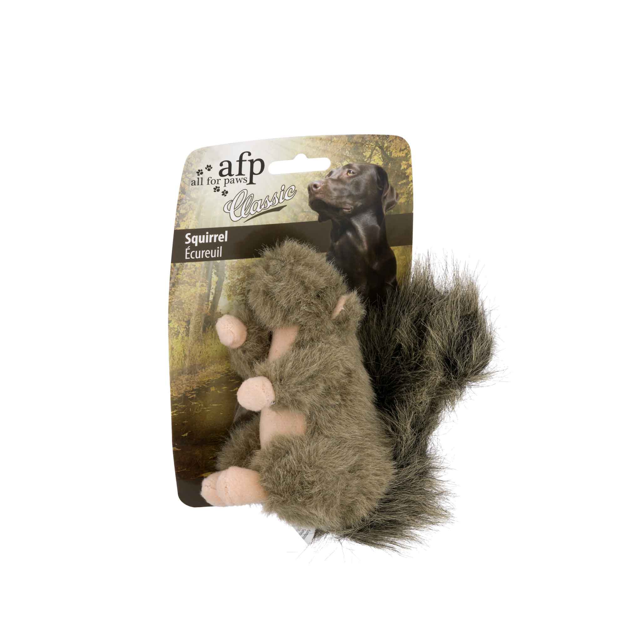 Squeaky Squirrel Plush Dog Toy