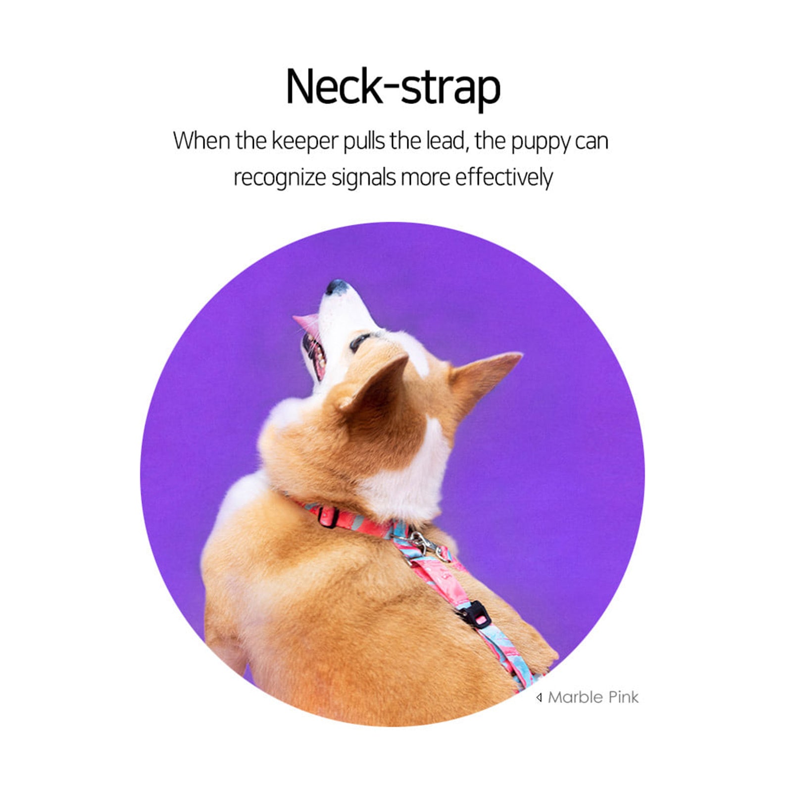 Double-Lined Dog Harness – Medium Sweet Green