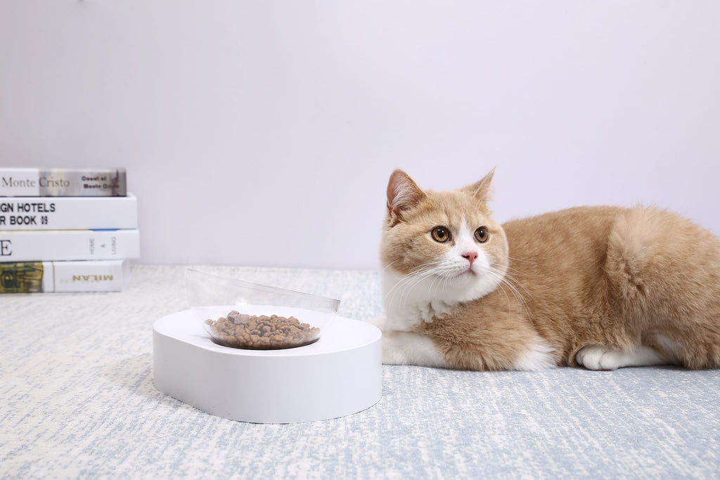 PETKIT Adjustable Cat Feeding Bowl