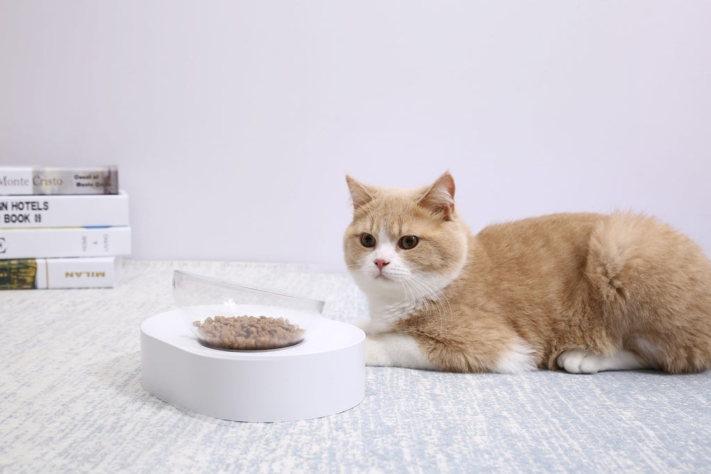 PETKIT Adjustable Cat Feeding Bowl