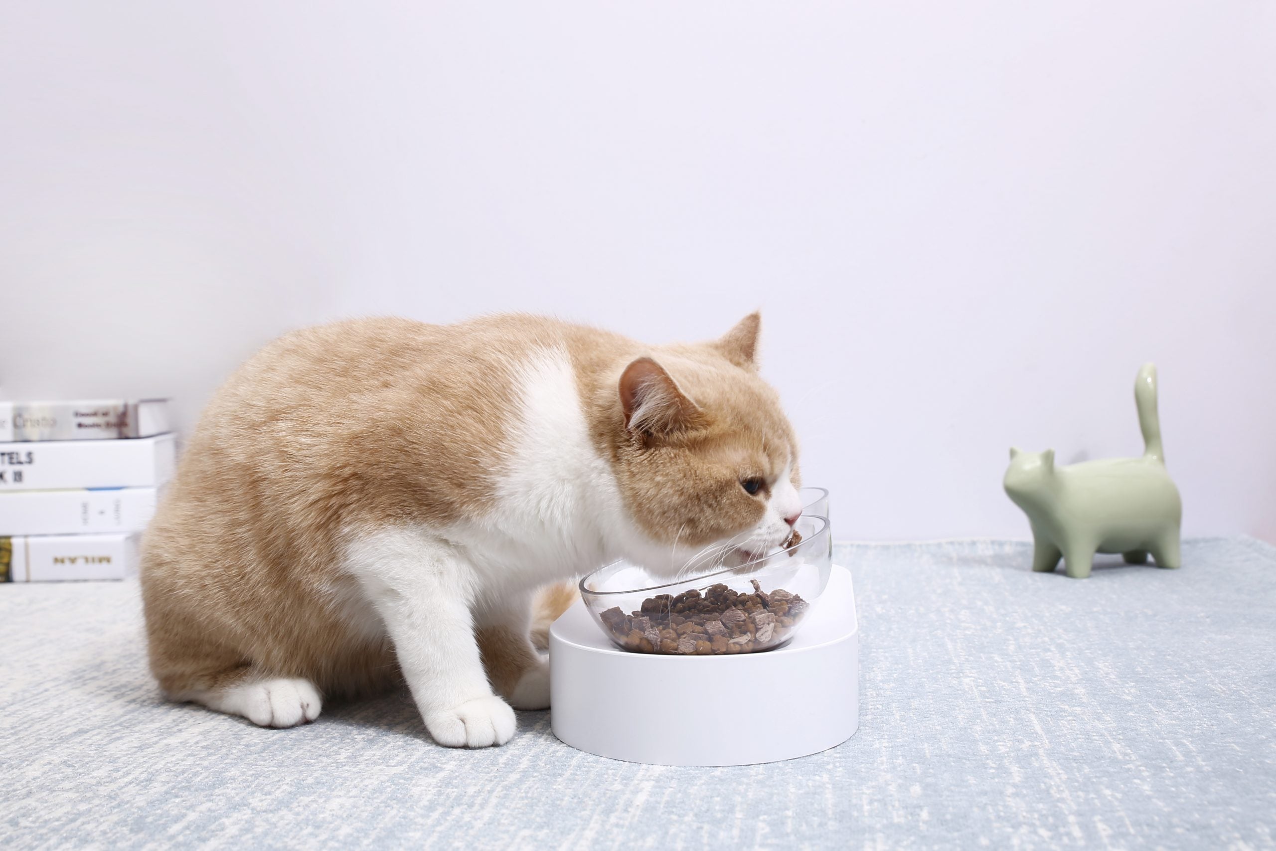 PETKIT Adjustable Cat Feeding Bowl