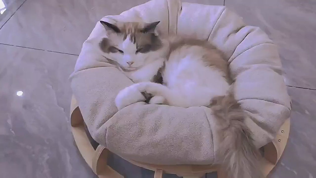 Timber Cat Nest Bed – Play, Scratch & Sleep in One